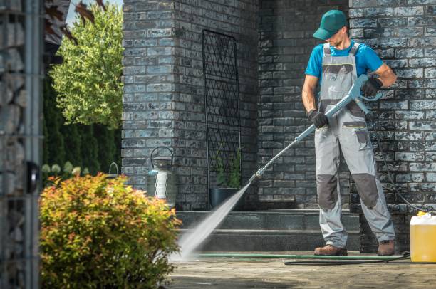 Animal Enclosure Cleaning in South Hill, NY